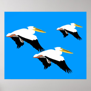 Flygpelikan i blåttOval Poster