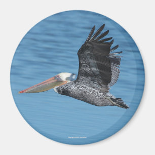 Flygpelikanmagnet 8 magnet