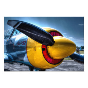 Flygplan 2 fototryck