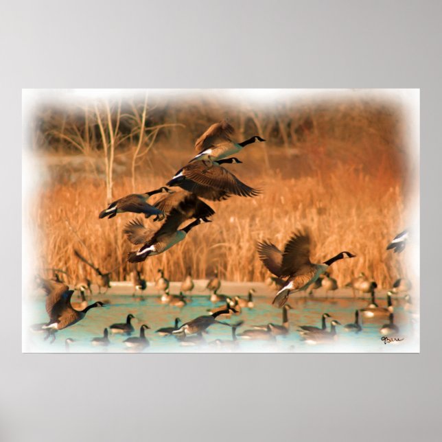 FLYGPLAN FÖR FINARE POSTER (Framsidan)