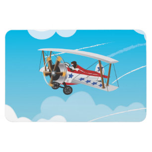 flygplan magnet