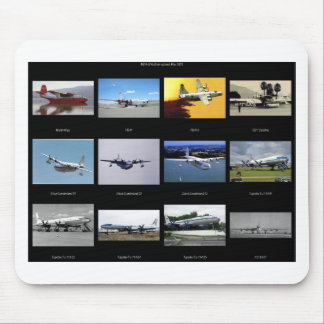 Flygplan Musmatta