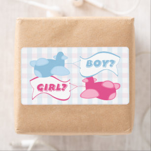 Flygplan och Banners Gingham Gender Reveal Party Fraktsedel