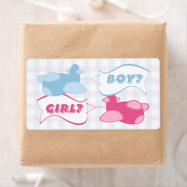 Flygplan och Banners Gingham Gender Reveal Party Fraktsedel (Insitu)