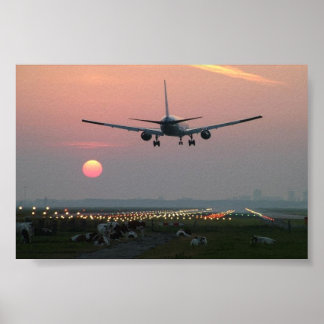 Flygplan och kor poster