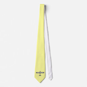 Flygplan och provpilot slips