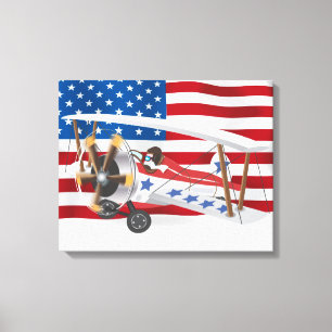 Flygplan USA Canvastryck