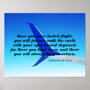 Flygplanet vinge Flygplan som flyger i Himlar Post Poster
