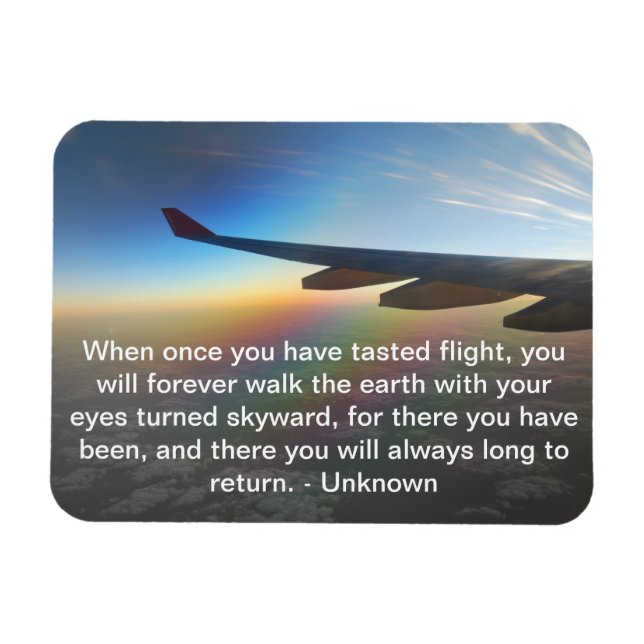 Flygplanet Vinge mot färgtillförsel Sol Magnet (Horisontell)