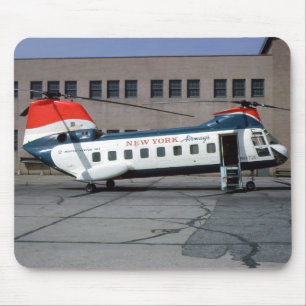Flygplanmusen vadderar musmatta