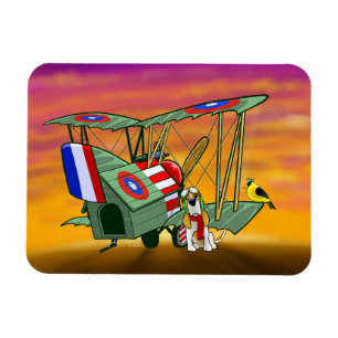 Flygplats Magnet