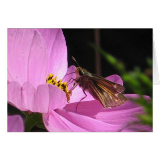 Flygplatskort Hälsningskort