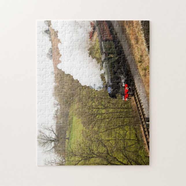 Flygskotte på Goathland Pussel (Vertikal)