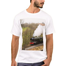 Flygskotte på Goathland