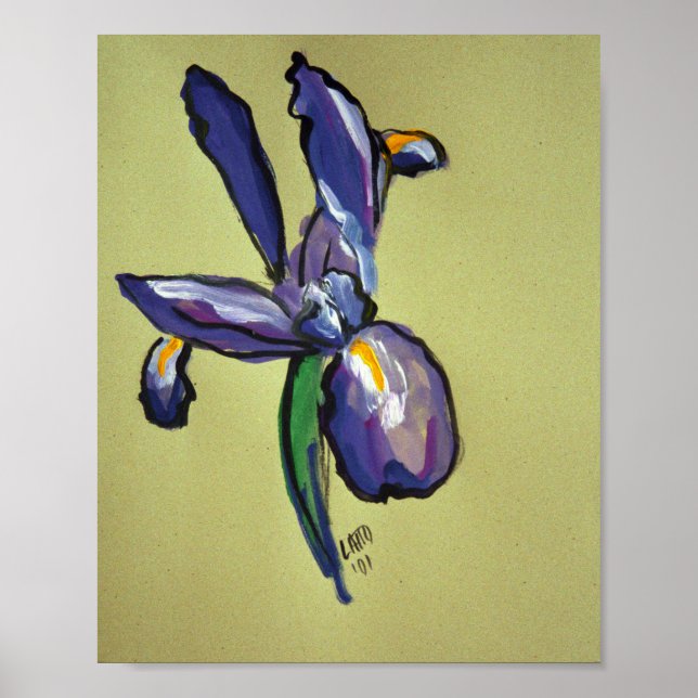 Flygteknisk iris Modern Art Painting Print Poster (Framsidan)