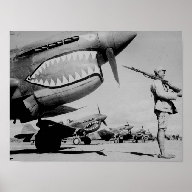 Flygtigrar Poster (Framsidan)