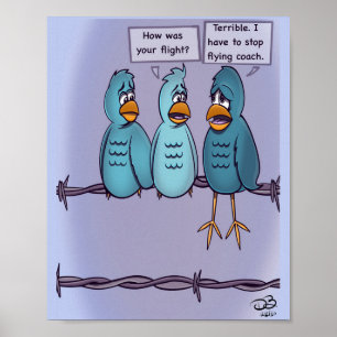 Flygträning Coach Poster