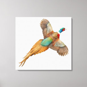 FlygvildRingneck Pheasant slågen in kanfas Canvastryck