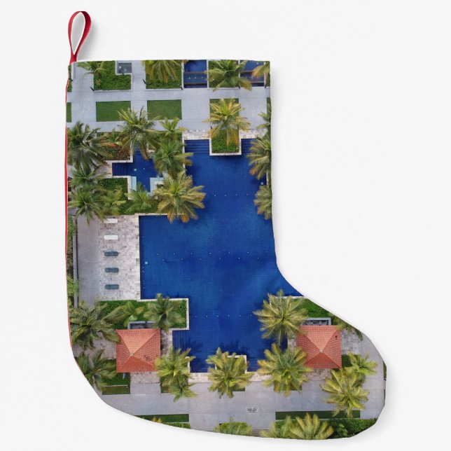 Flygvy över bassäng omgiven av handflatan träd liten julstrumpa (Framsidan)