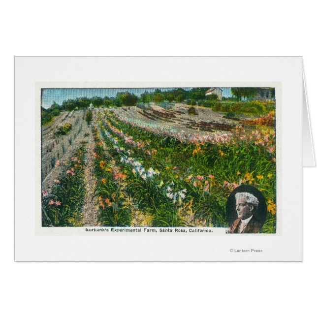 Flygvy över Burbanks experimentanläggning Hälsningskort (Framsidan Horizontal)