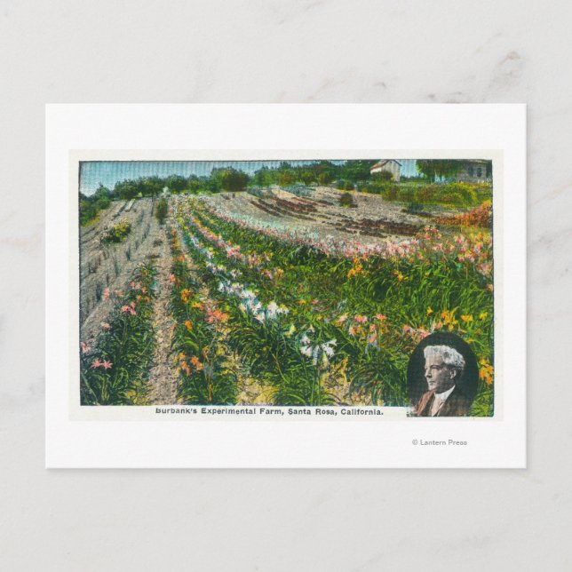 Flygvy över Burbanks experimentanläggning Vykort (Framsida)