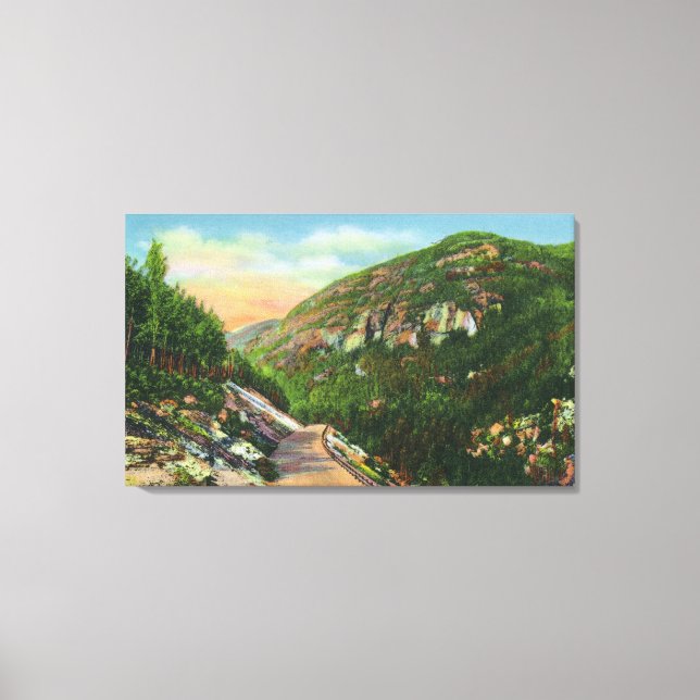 Flygvy över fiskmark Bäck, Saranac Inn Canvastryck (Framsida)