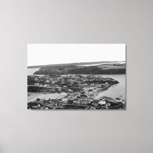 Flygvy över Kodiak, Alaska-foto Canvastryck (Framsida)