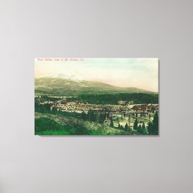 Flygvy över Ogräs Station vid Mt. Shasta Base Canvastryck (Framsida)