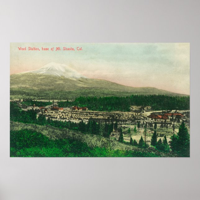 Flygvy över Ogräs Station vid Mt. Shasta Base Poster (Framsidan)