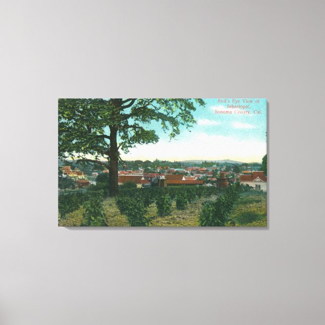 Flygvy över TownSebastopol, CA Canvastryck (Framsida)