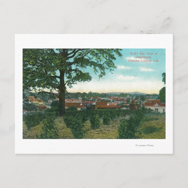 Flygvy över TownSebastopol, CA Vykort (Framsida)
