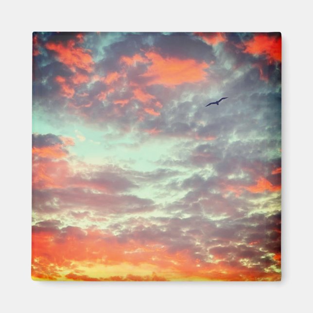 Flying Bird in Clouds Photo Magnet (Framsidan)