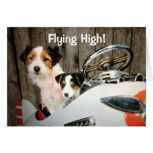 FLYING HÖG HUNDAR SY-HEARD U STARTAR "40" HÄLSNINGSKORT
