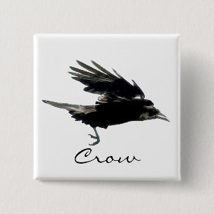 FLYING KRÅKA Raven Wildlife Bird Art Knapp