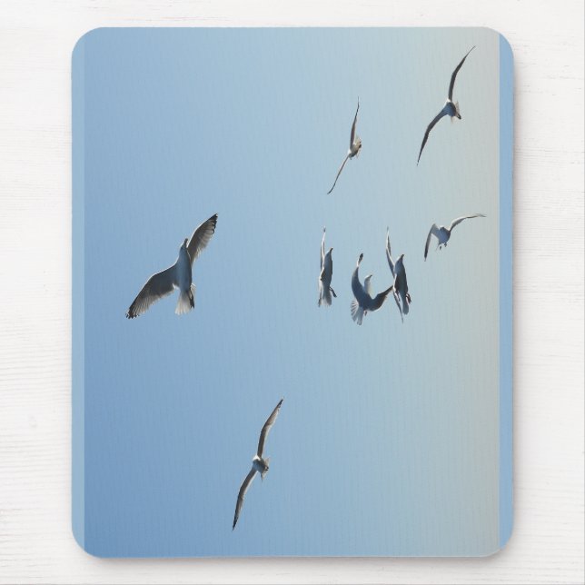 Flying Seagulls Coastal Ocean Bird Nature Desk  Musmatta (Framsidan)