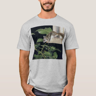 FlyingSquirrel T Shirt