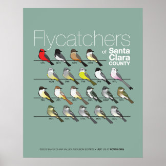 Flyktingar i Santa Clara County Poster