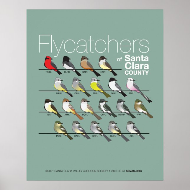 Flyktingar i Santa Clara County Poster (Framsidan)