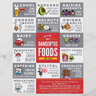 Flyktingar - världens farligaste mat för Hundar Reklamblad