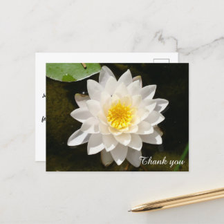Flyt White Waterlily Lotus Tack Vykort