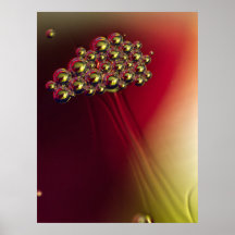 Flyta Abstrakt Bubbles Colorful Background