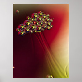 Flyta Abstrakt Bubbles Colorful Background Poster