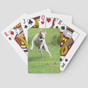 Flyta Casinokort