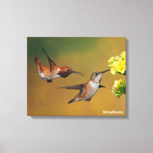 Flyta den Rufous hummingbirden Canvastryck