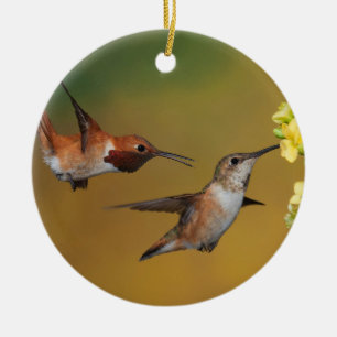 Flyta den Rufous hummingbirden Julgransprydnad Keramik