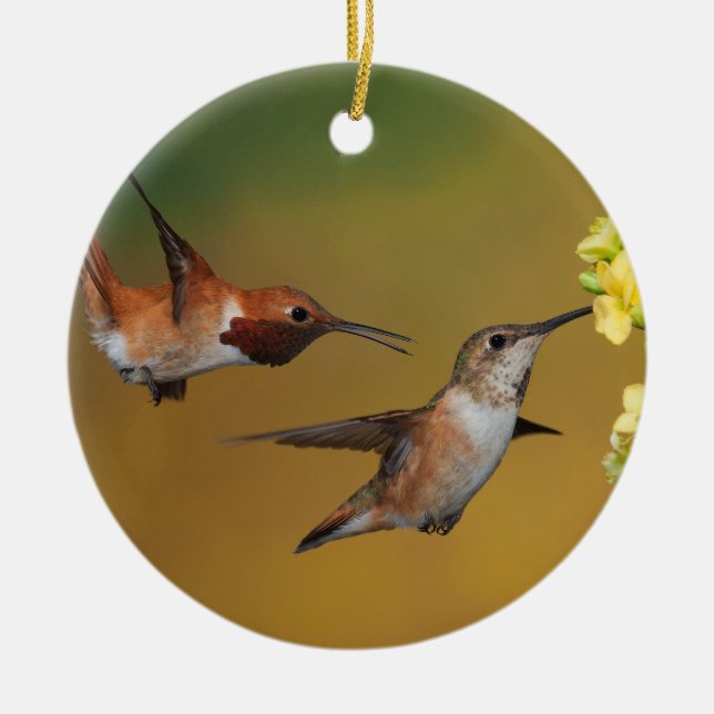 Flyta den Rufous hummingbirden Julgransprydnad Keramik (Framsidan)