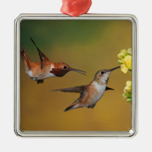 Flyta den Rufous hummingbirden Julgransprydnad Metall