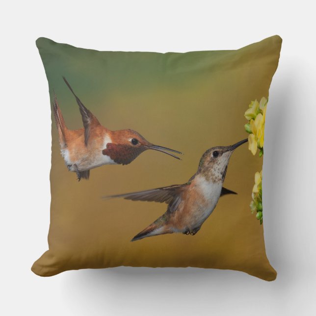 Flyta den Rufous hummingbirden Kudde (Framsida)
