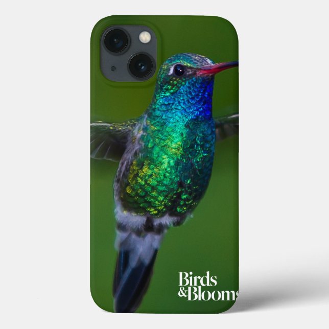 Flyta hummingbirden (Baksida)