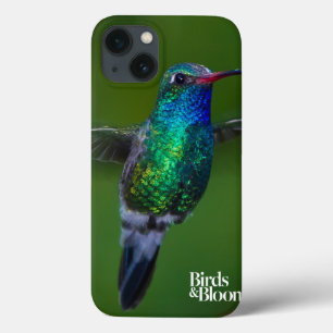 Flyta hummingbirden